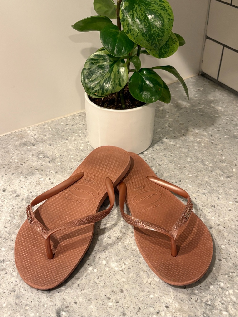 Havaianas slim flip flops in brown with subtle shimmer straps